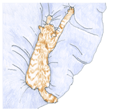 brown tabby cat koto-chan part4 sticker #7689314