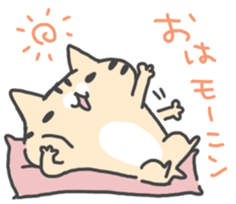 Slowly cat by peco sticker #7691540