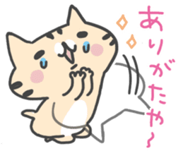 Slowly cat by peco sticker #7691556