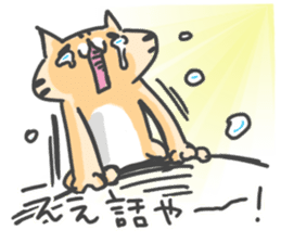 Slowly cat by peco sticker #7691559