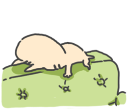 Slowly cat by peco sticker #7691575