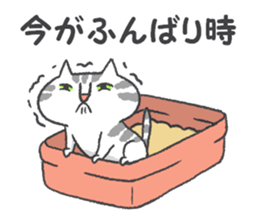 Pleasant life with the cat sticker #7691953