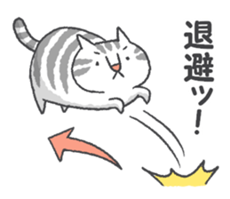 Pleasant life with the cat sticker #7691963