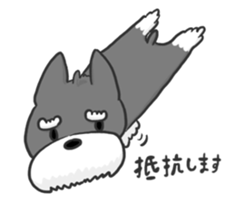 Standing Ears Schnauzer 3 sticker #7692567