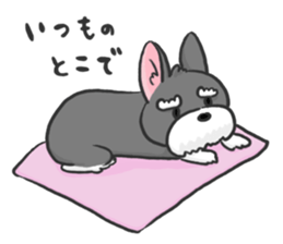 Standing Ears Schnauzer 3 sticker #7692573