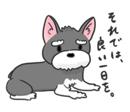 Standing Ears Schnauzer 3 sticker #7692577