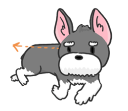 Standing Ears Schnauzer 3 sticker #7692582