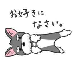 Standing Ears Schnauzer 3 sticker #7692585