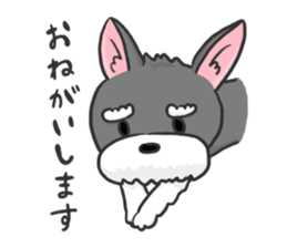 Standing Ears Schnauzer 3 sticker #7692591