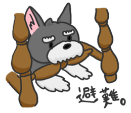 Standing Ears Schnauzer 3 sticker #7692603