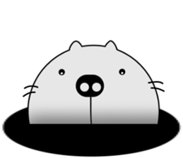 It 'not a pig, this is a cat sticker #7693174