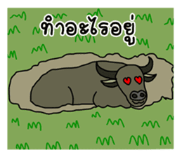 Buffalo buffalo sticker #7693756