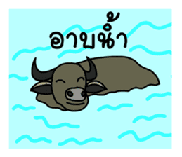 Buffalo buffalo sticker #7693763