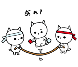 Three white cats sticker #7693953