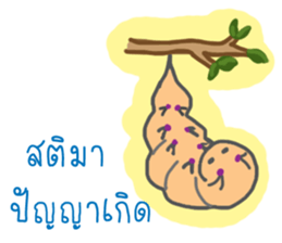 Thai Sawasdee 365 Days Be Happy All Year sticker #7695802