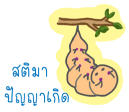 Thai Sawasdee 365 Days Be Happy All Year sticker #7695802