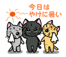 Autumn of a cats and Halloween sticker sticker #7698058