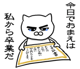 Cat so much harsh words and deeds sticker #7698883