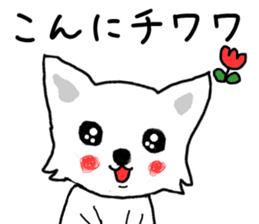 Cute Cute Chihuahua Sticker sticker #7704567