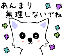 Cute Cute Chihuahua Sticker sticker #7704586