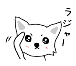 Cute Cute Chihuahua Sticker sticker #7704591