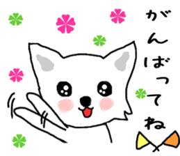 Cute Cute Chihuahua Sticker sticker #7704592