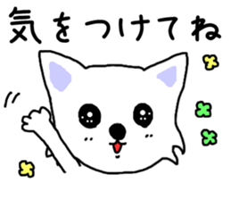 Cute Cute Chihuahua Sticker sticker #7704596