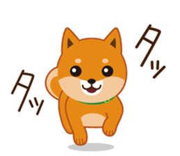 Shiba dog "MUSASHI" 4 sticker #7706286