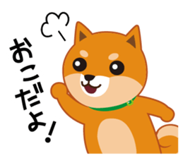 Shiba dog "MUSASHI" 4 sticker #7706290