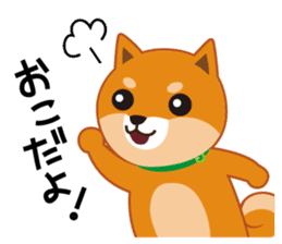 Shiba dog "MUSASHI" 4 sticker #7706290