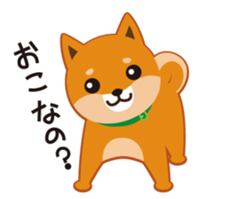 Shiba dog "MUSASHI" 4 sticker #7706291
