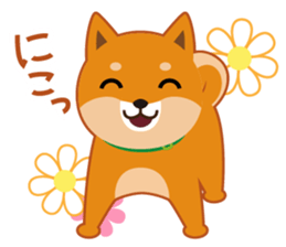 Shiba dog "MUSASHI" 4 sticker #7706292