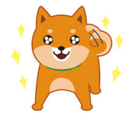 Shiba dog "MUSASHI" 4 sticker #7706293