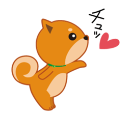Shiba dog "MUSASHI" 4 sticker #7706300