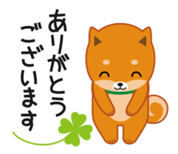 Shiba dog "MUSASHI" 4 sticker #7706303