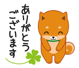 Shiba dog "MUSASHI" 4 sticker #7706303