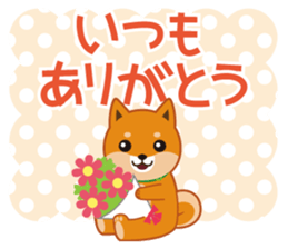 Shiba dog "MUSASHI" 4 sticker #7706304
