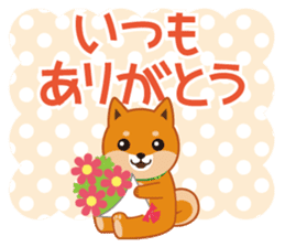 Shiba dog "MUSASHI" 4 sticker #7706304