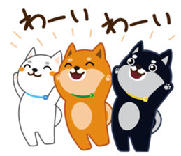 Shiba dog "MUSASHI" 4 sticker #7706305
