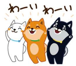 Shiba dog "MUSASHI" 4 sticker #7706305