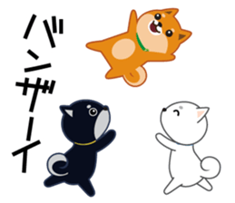 Shiba dog "MUSASHI" 4 sticker #7706306