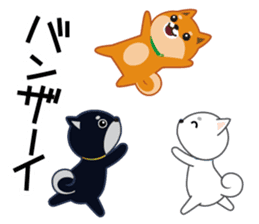 Shiba dog "MUSASHI" 4 sticker #7706306