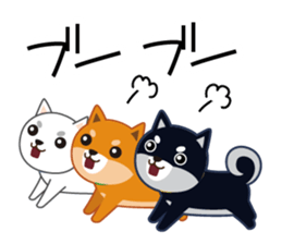 Shiba dog "MUSASHI" 4 sticker #7706307