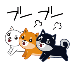 Shiba dog "MUSASHI" 4 sticker #7706307