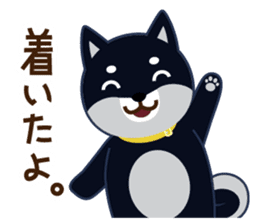 Shiba dog "MUSASHI" 4 sticker #7706308