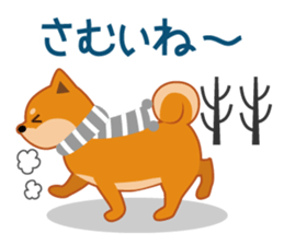 Shiba dog "MUSASHI" 4 sticker #7706310