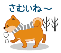 Shiba dog "MUSASHI" 4 sticker #7706310