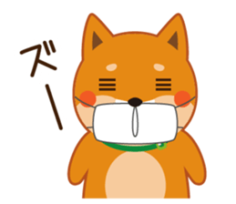 Shiba dog "MUSASHI" 4 sticker #7706313