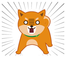 Shiba dog "MUSASHI" 4 sticker #7706316