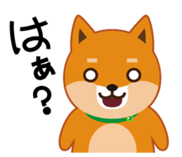 Shiba dog "MUSASHI" 4 sticker #7706317